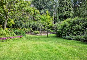 Optimiser l'expérience du jardin à Chateauneuf-les-Martigues